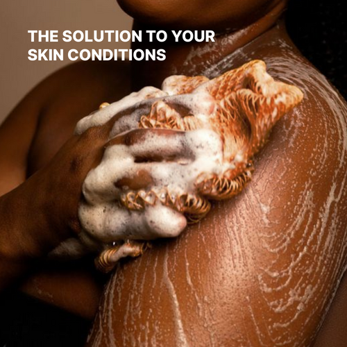 African Exfoliating Body Net Sponge